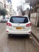 Hyundai CM 2011, Hama