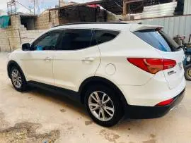 سانتفي دي ام 2013