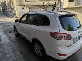 سي ام 2010, حلب