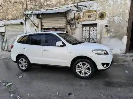 سي ام 2010, حلب