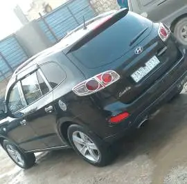 سي ام 2010, حلب