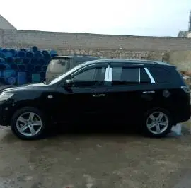 سي ام 2010, حلب