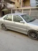 شيري شمعة 2008, حلب