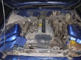 Opel Signum 2005, RF19566162