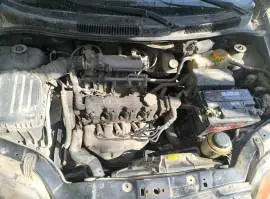 دايو كالوس 2004, حماة