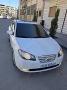 Hyundai Elantra 2010, Hama