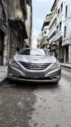 Hyundai Sonata 2014, Homs
