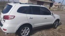 سي ام 2007, حمص, RF13385155