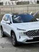 Hyundai Santa Fe 2022, RF24430756