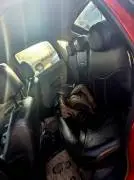 ستروين كرت 6 2016, RF67914874