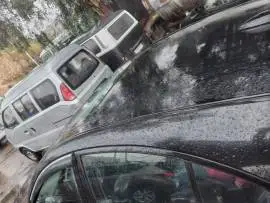 Haima 2010, RF17547947