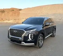 Hyundai Palisade 2023, RF20197153