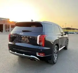 Hyundai Palisade 2023, RF20197153