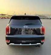 Hyundai Palisade 2023, RF20197153