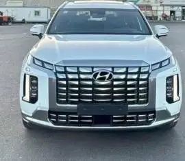 Hyundai Palisade 2024, RF21239261