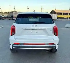 Hyundai Palisade 2024, RF21239261