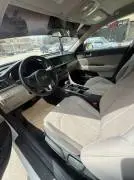 اوبتما 2018, حماة, RF13766813