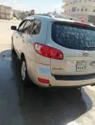 Hyundai Santa Fe 2006, RF84980096