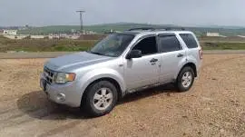 Ford Focus 2011, Latakia, RF99256652