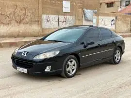 Peugeot 407 2007, RF85405856