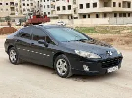 Peugeot 407 2007, RF85405856