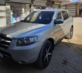Hyundai Santa Fe cm 2006, RF19494631