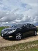 Hyundai Sonata 2010, RF91111083