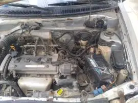 فاو كرت 2006, RF20969445