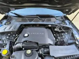 جاكوار 2014, حلب, RF12771755