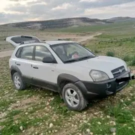 Hyundai Tucson 2005, Hama, RF10919463