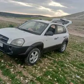 Hyundai Tucson 2005, Hama, RF10919463