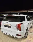 Hyundai Palisade 2021, RF99311295