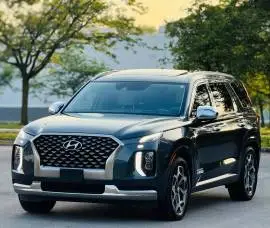 2022 Hyundai Palisade Calligraphy, Homs, RF19971488