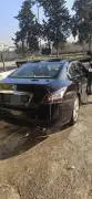 Nissan Maxima 2011, Homs, RF13591861
