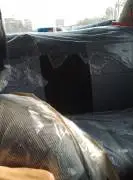 نيو ريو 2002, دمشق, RF11892025