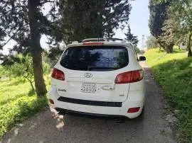 سي ام 2008, RF42163906