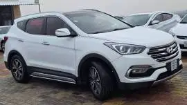 دي ام 2017, درعا, RF20813245