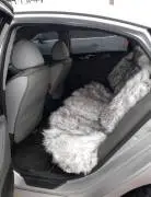 فولكس فاجن كولف 1977, دمشق, RF17809645