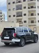 Hyundai Palisade 2023, Idlib, RF15819659