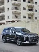 Hyundai Palisade 2023, Idlib, RF15819659