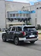 Hyundai Palisade 2023, Idlib, RF15819659