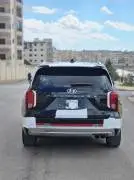Hyundai Palisade 2023, Idlib, RF15819659