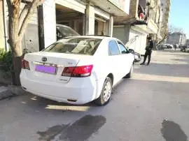 BYD 2008, Damascus, RF15757735