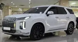 Hyundai Palisade 2023, RF36366697