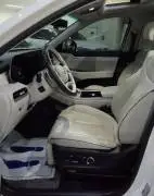 Hyundai Palisade 2023, RF15811560