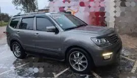 موهافي 2008, درعا, RF10586443