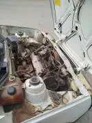 دايوا زاز 2003, إدلب, RF18840895