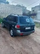 Hyundai Santa Fe 2005, RF84410756