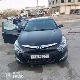 Hyundai Sonata 2012, Damascus, RF17490234