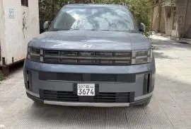 Hyundai Santa Fe 2024, RF13266559